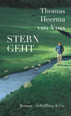 Stern geht (eBook, ePUB) - Heerma van Voss, Thomas