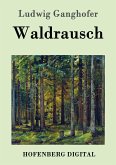 Waldrausch (eBook, ePUB)