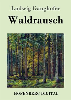 Cover Waldrausch (eBook, ePUB)