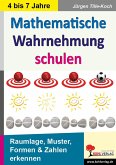 Mathematische Wahrnehmung schulen (eBook, PDF)