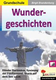 Wundergeschichten (eBook, PDF)