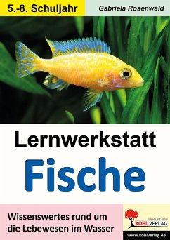 Lernwerkstatt Fische (eBook, PDF) - Rosenwald, Gabriela