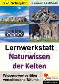 Lernwerkstatt Naturwissen der Kelten (eBook, PDF)