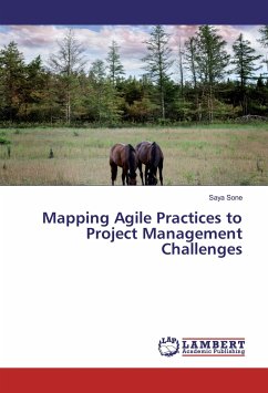 Mapping Agile Practices to Project Management Challenges