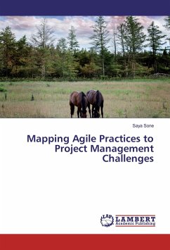 Mapping Agile Practices to Project Management Challenges - Sone, Saya