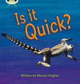 Bug Club Phonics - Phase 3 Unit 7: Is It Quick? Bug Club Phonics - Phase 3 Unit 7: Is It Quick?