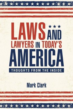 Laws and Lawyers in Today's America