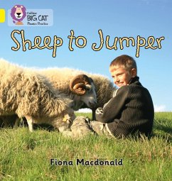 Sheep to Jumper - Macdonald, Fiona