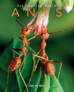 Ants - De Silva, Kay