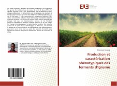 Production et caractérisation phénotypiques des ferments d'Igname - Gozoua, Emmanuel