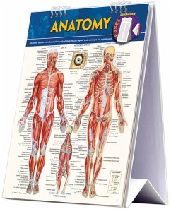 Anatomy Easel Book - Perez, Vincent