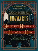 Kurzgeschichten aus Hogwarts: Heldentum, Härtefälle und hanebüchene Hobbys (eBook, ePUB)