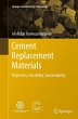 Cement Replacement Materials - Bild 1