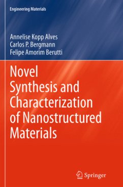 Novel Synthesis and Characterization of Nanostructured Materials - Kopp Alves, Annelise;Bergmann, Carlos P;Berutti, Felipe Amorim