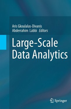 Large-Scale Data Analytics