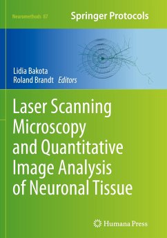 Laser Scanning Microscopy and Quantitative Image Analysis of Neuronal Tissue