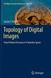 Topology of Digital Images - Bild 1