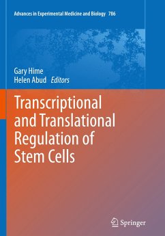 Transcriptional and Translational Regulation of Stem Cells