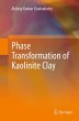 Phase Transformation of Kaolinite Clay - Bild 1