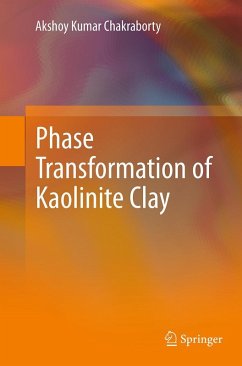 Phase Transformation of Kaolinite Clay - Chakraborty, Akshoy Kumar