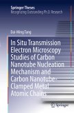 In Situ Transmission Electron Microscopy Studies of Carbon Nanotube Nucleation Mechanism and Carbon Nanotube-Clamped Met