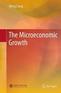 The Microeconomic Growth - Liang, Meng