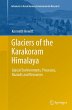 Glaciers of the Karakoram Himalaya - Bild 1