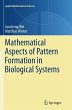 Mathematical Aspects of Pattern... - Bild 1