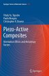 Piezo-Active Composites - Bild 1