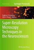 Super-Resolution Microscopy Techniques in the Neurosciences