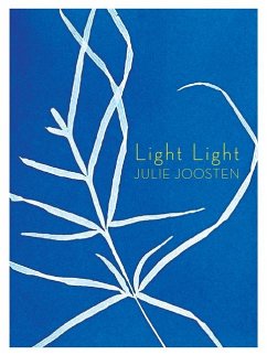 Light Light - Joosten, Julie