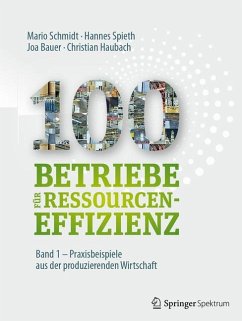 100 Betriebe für Ressourceneffizienz - Band 1 - Schmidt, Mario;Spieth, Hannes;Bauer, Joa