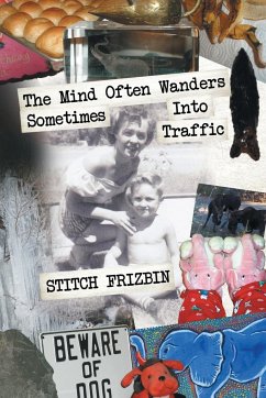 The Mind Often Wanders Sometimes Into Traffic - Frizbin, Stitch