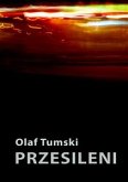 Przesileni (eBook, ePUB)