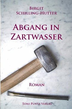 Abgang in Zartwasser (eBook, ePUB) - Schilling-Hutter, Birgit