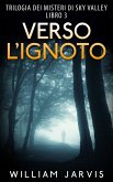 Verso l'ignoto : Trilogia dei misteri di Sky Valley Libro 3 (eBook, ePUB)