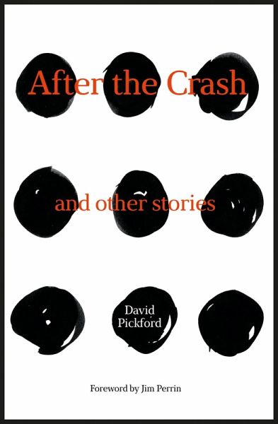 After the Crash (eBook, ePUB) After the Crash (eBook, ePUB)
