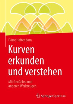 Kurven erkunden und verstehen - Haftendorn, Dörte