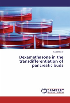 Dexamethasone in the transdifferentiation of pancreatic buds