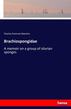 Brachiospongidae - Beecher, Charles Emerson