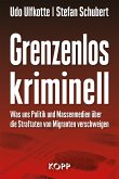 Grenzenlos kriminell (eBook, ePUB)