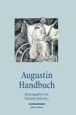 Augustin Handbuch (eBook, PDF)