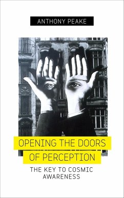 Cover Opening the Doors of Perception (eBook, ePUB)