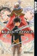 Jemanden beschützen / Black Clover Bd.2 - Bild 1