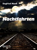 Nachtfahrten (eBook, PDF)