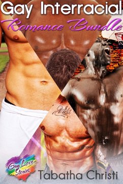 Cover Gay Interracial Romance Bundle (eBook, ePUB)