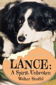 Lance: A Spirit Unbroken (eBook, ePUB) - Stoffel, Walter