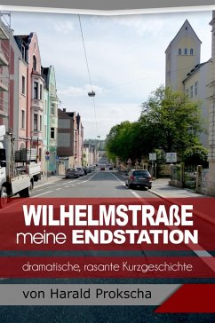 Wilhelmstraße meine Endstation (eBook, ePUB) - Prokscha, Harald