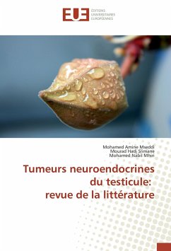 Tumeurs neuroendocrines du testicule: revue de la littérature - Mseddi, Mohamed Amine;Hadj Slimane, Mourad;Mhiri, Mohamed Nabil