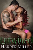 Entwined (The Kinky Connect Chronicles, #3) (eBook, ePUB) Entwined (The Kinky Connect Chronicles, #3) (eBook, ePUB)